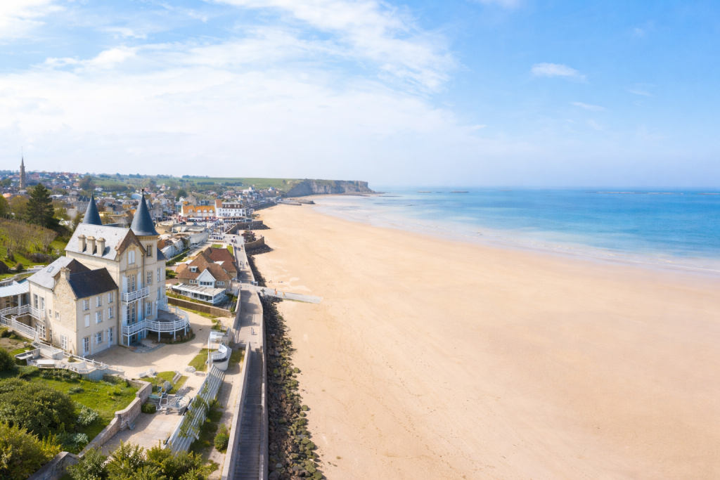 lion sur mer bord de mer taurus accueil