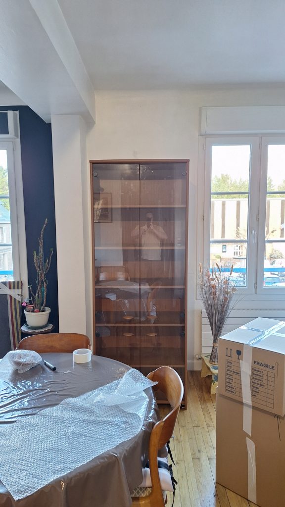 dem taurus prepratation 2026 protection pro